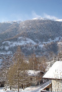 Uitzicht op Fiesch