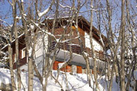 Chalet Viosia